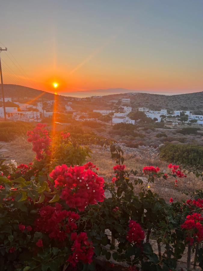 Apartment Alexandra's Irakleia (Naxos)