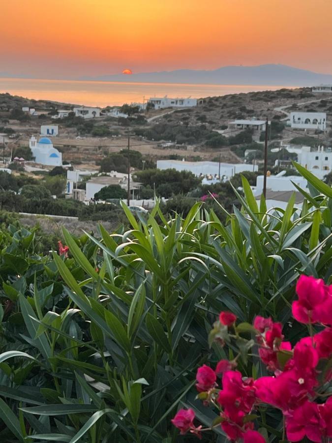 Alexandra's Irakleia (Naxos)